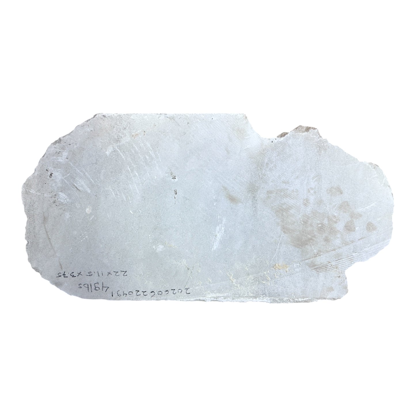 49lb Mario's White Translucent Alabaster 22x11x3.5