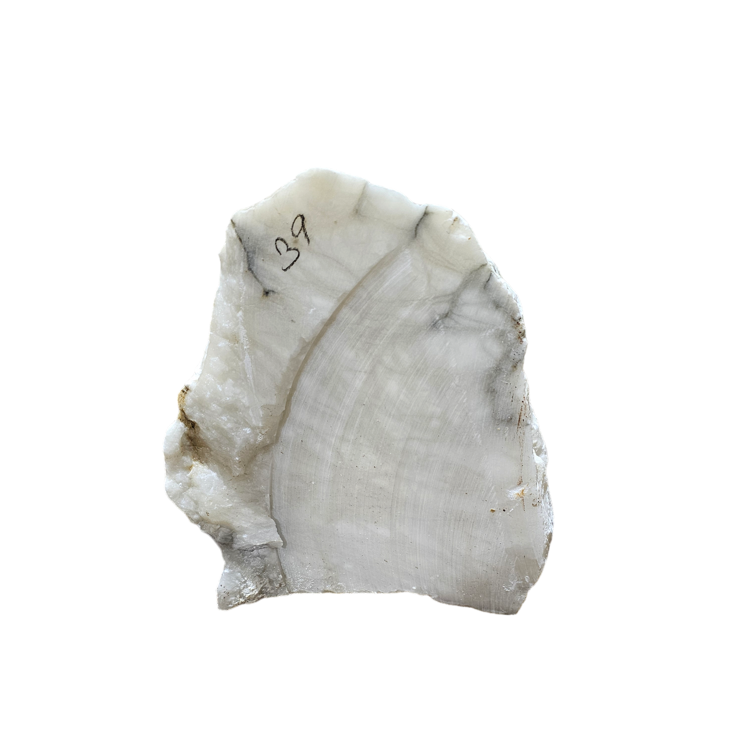 Oyster Shell Alabaster - US