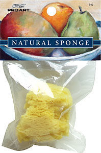 Sea Silk Sponge
