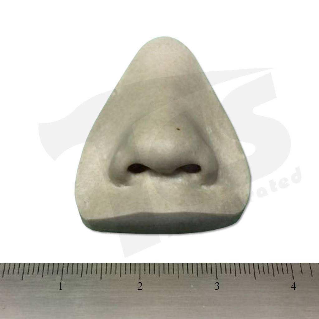 Resin Nose #1 (Small)