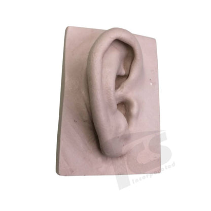 Resin Ear #1 (Young)