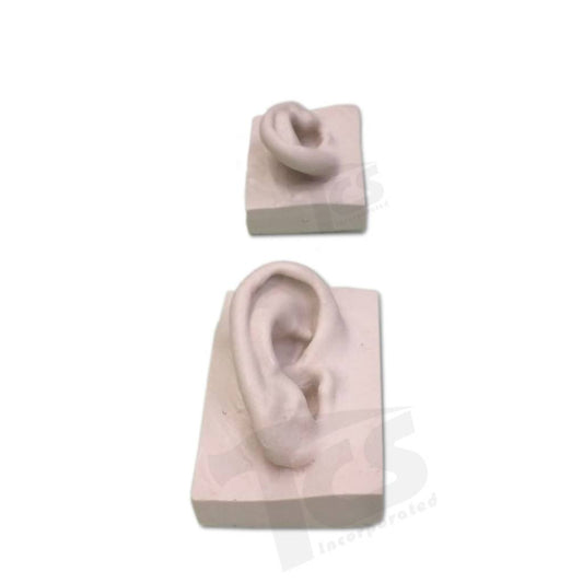 Resin Ear #1 (Young)