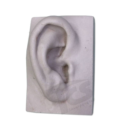 Resin Ear #1 (Young)