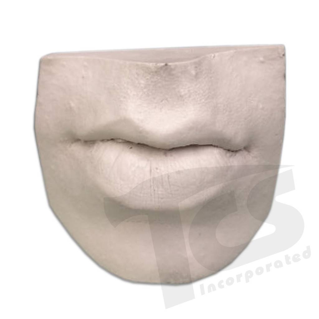 Resin Mouth #3 (Pursed Lips)