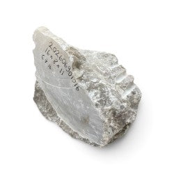 Italian Agate Alabaster 16x8x11 64lb 202606301016