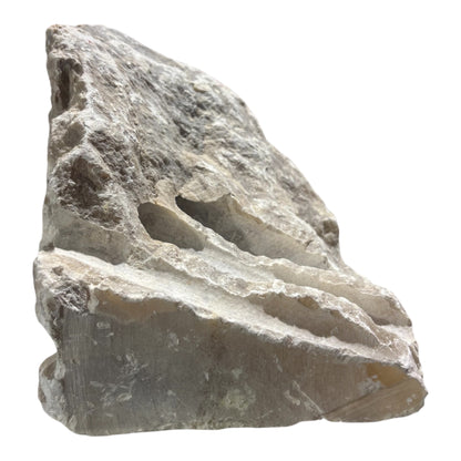 Italian Agate Alabaster 13x9x6 11lb 202606301017