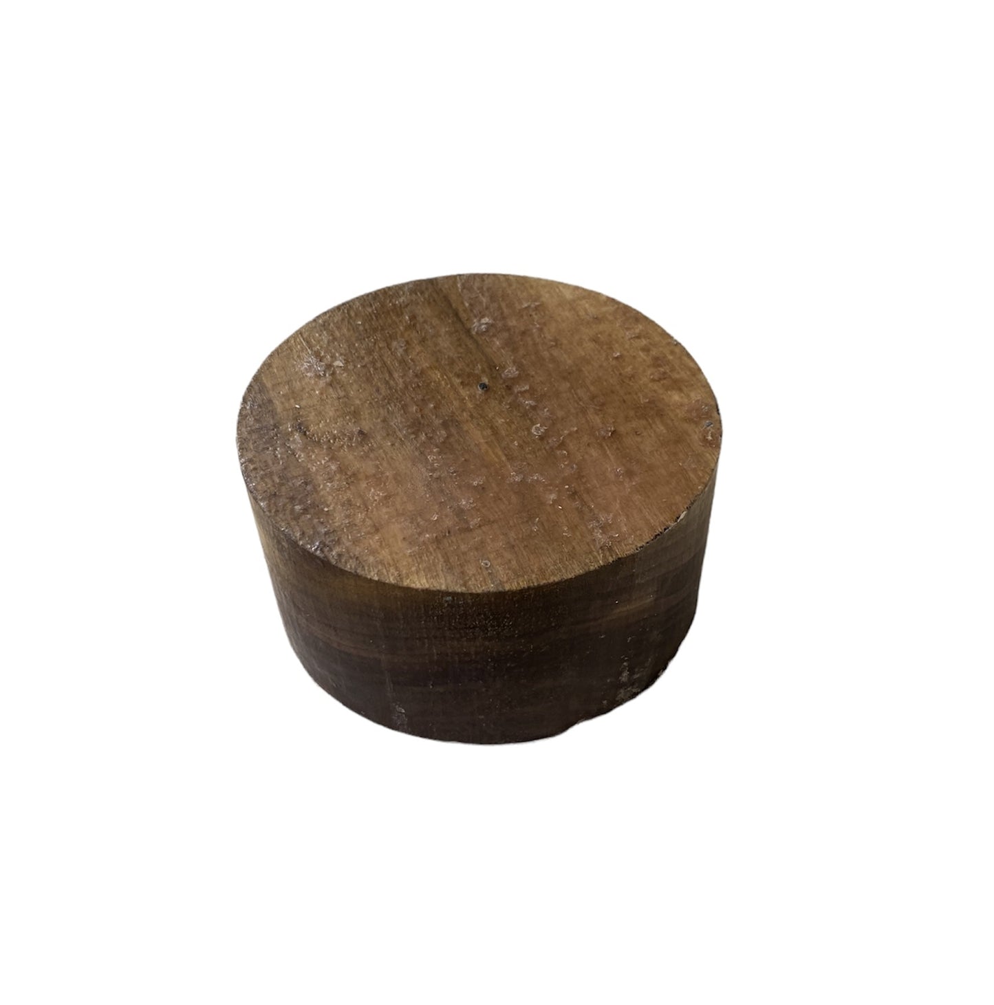 Black Walnut Round Block 6x3"