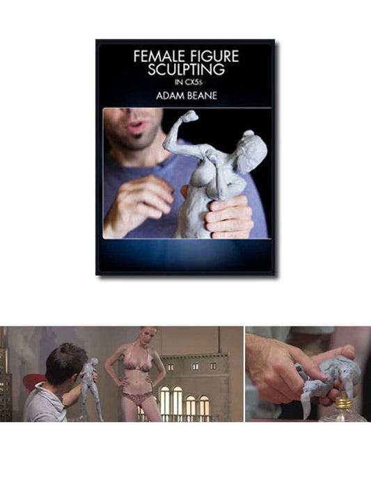 Female Figure Sculpting In CX5(S) Beane DVD