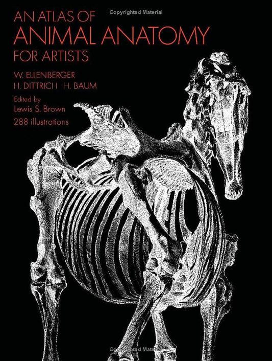 Atlas De Anatomía Animal Libro Ellenberger 