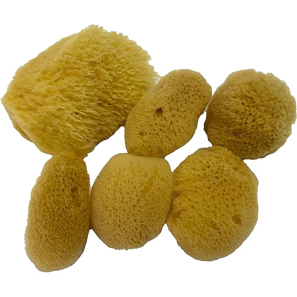 Neptune™ Sea Silk Sponges