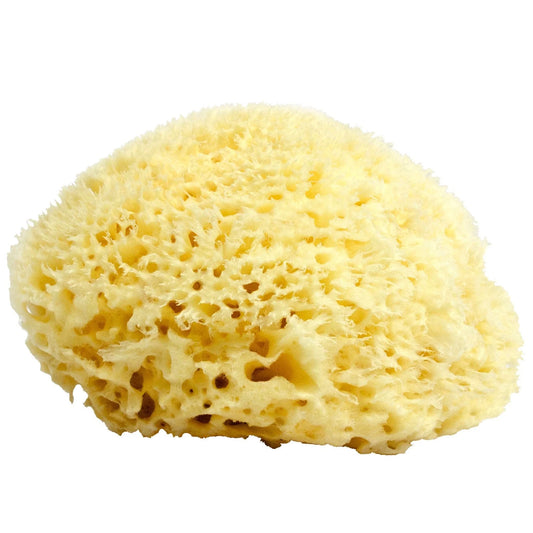 Neptune™ Wool Sea Sponges