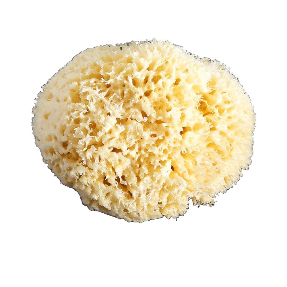 Neptune™ Wool Sea Sponges