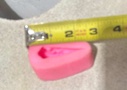 Molde de silicona de calavera de cuervo