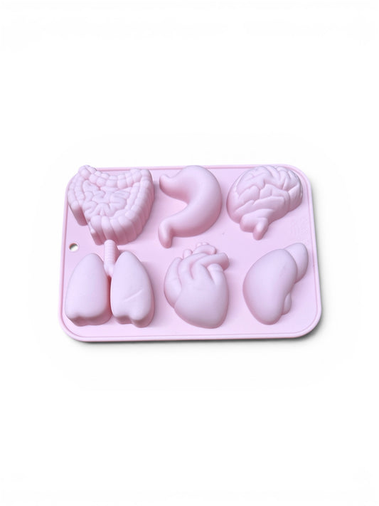 Organ Silicone Mold