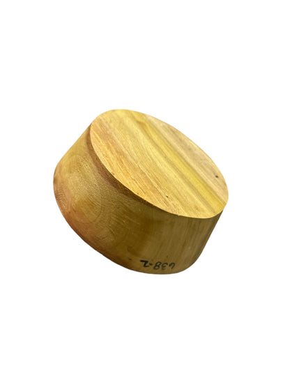 Poplar Spalted Wood Round Blank 6-1/2" X 2"