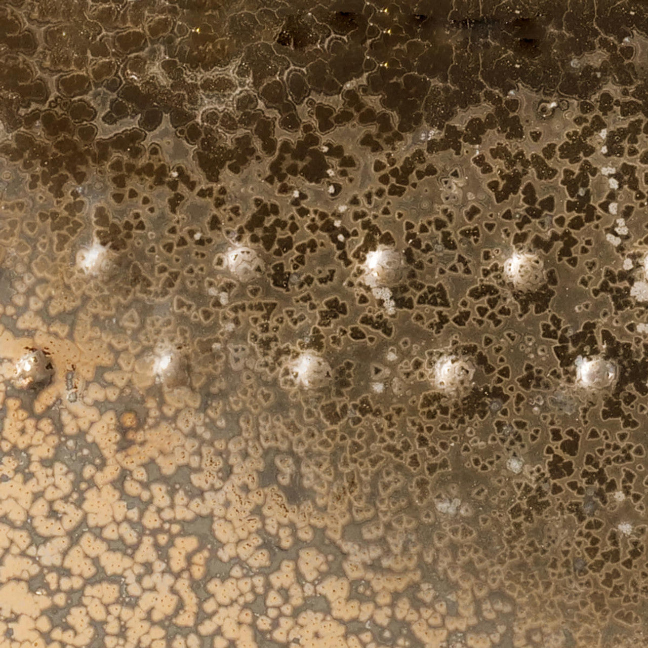 (PC) Potter's Choice Pints