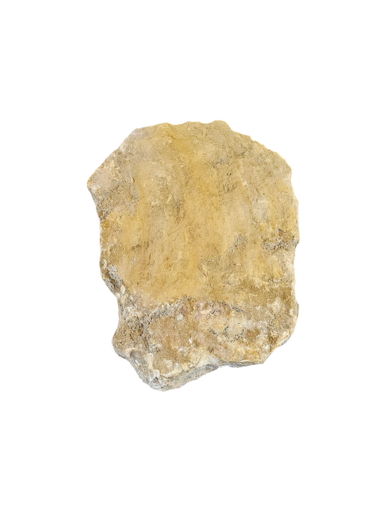 New Harvest Gold Alabaster 42lb NHG001