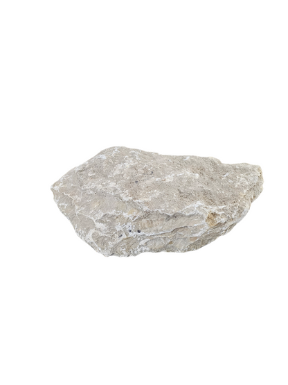 New Harvest Gold Alabaster 32lb NHG002