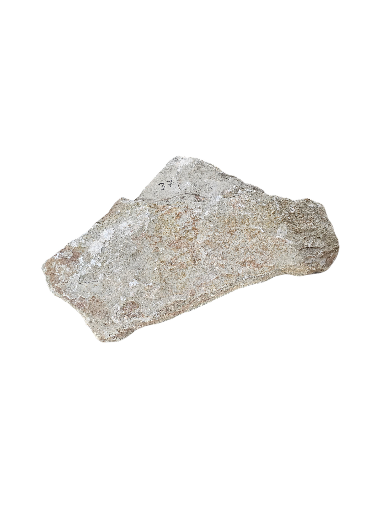 New Harvest Gold Alabaster 41lb NHG004