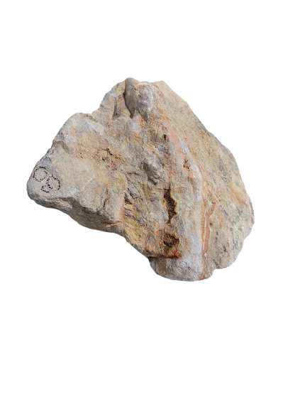 Rhyolite Farrago 8"x8"x12" 1004