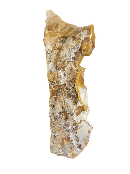 Mexican Onyx 19lb 20x6.5x3 1007