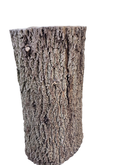 Black Walnut Log Full Bark 17Dx30H 111lbs