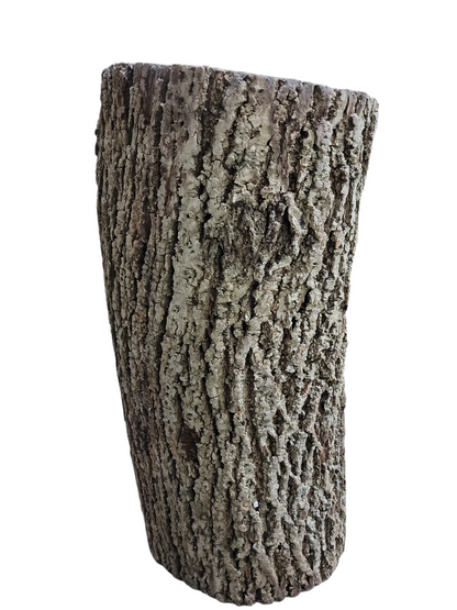 Black Walnut Log Full Bark 12Dx24H 39lbs