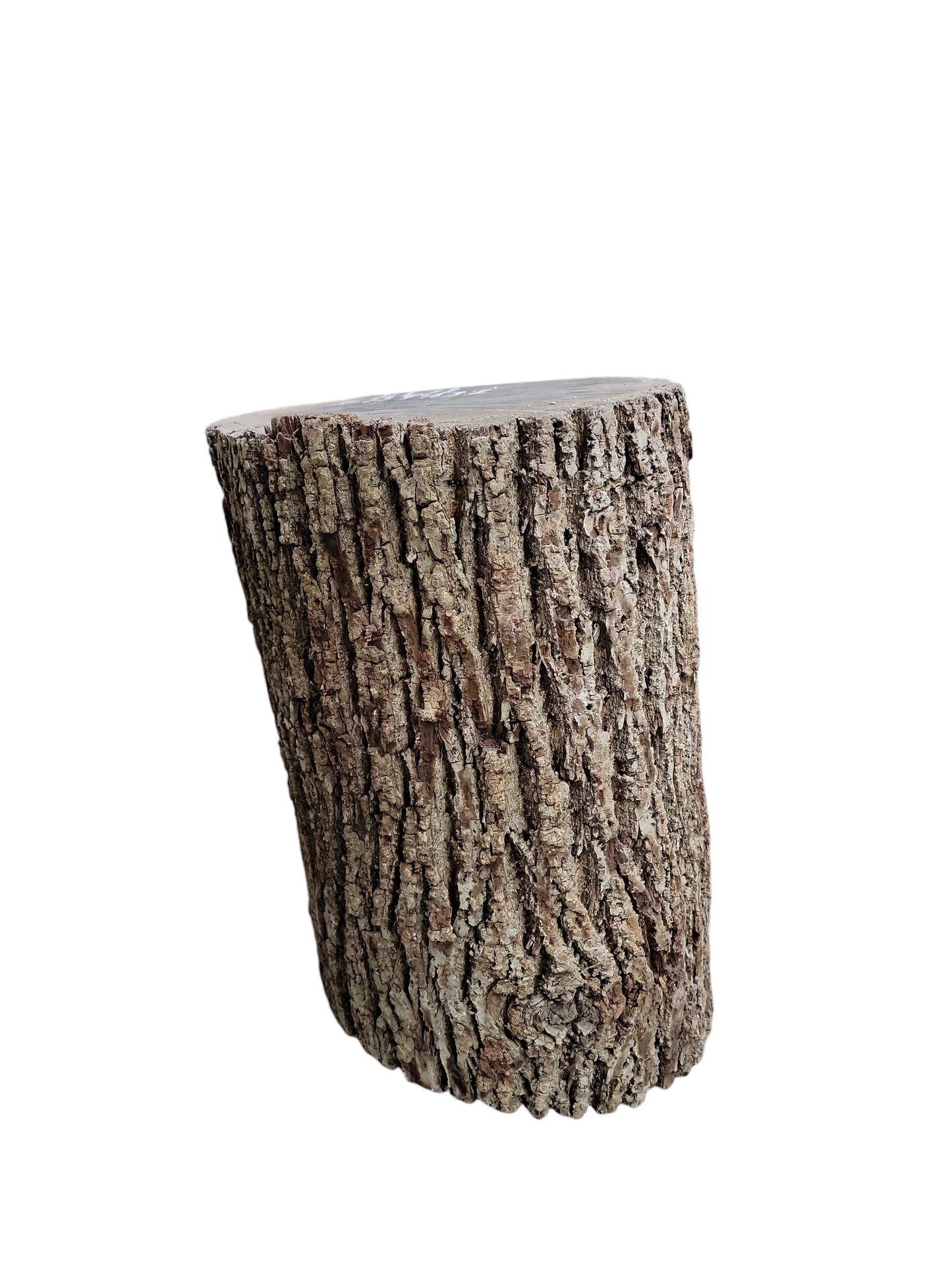 Black Walnut Log Full Bark 13Dx17H 39lbs