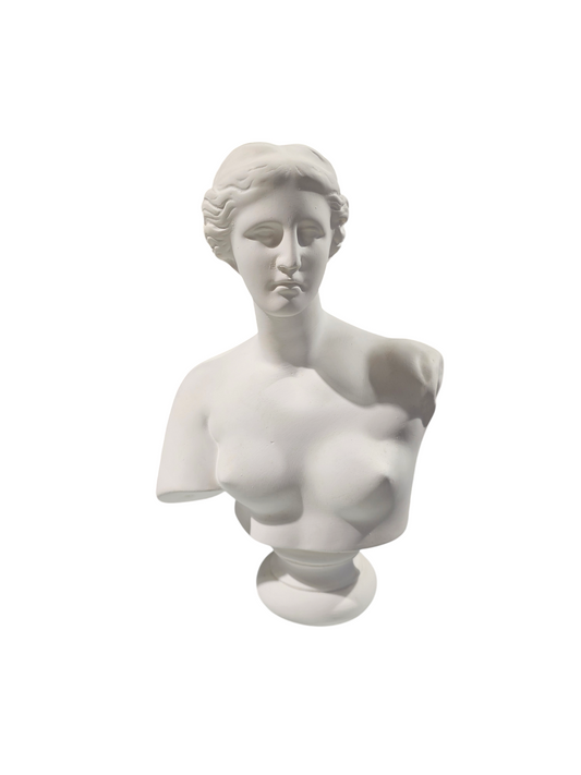 Bust Plaster Venus