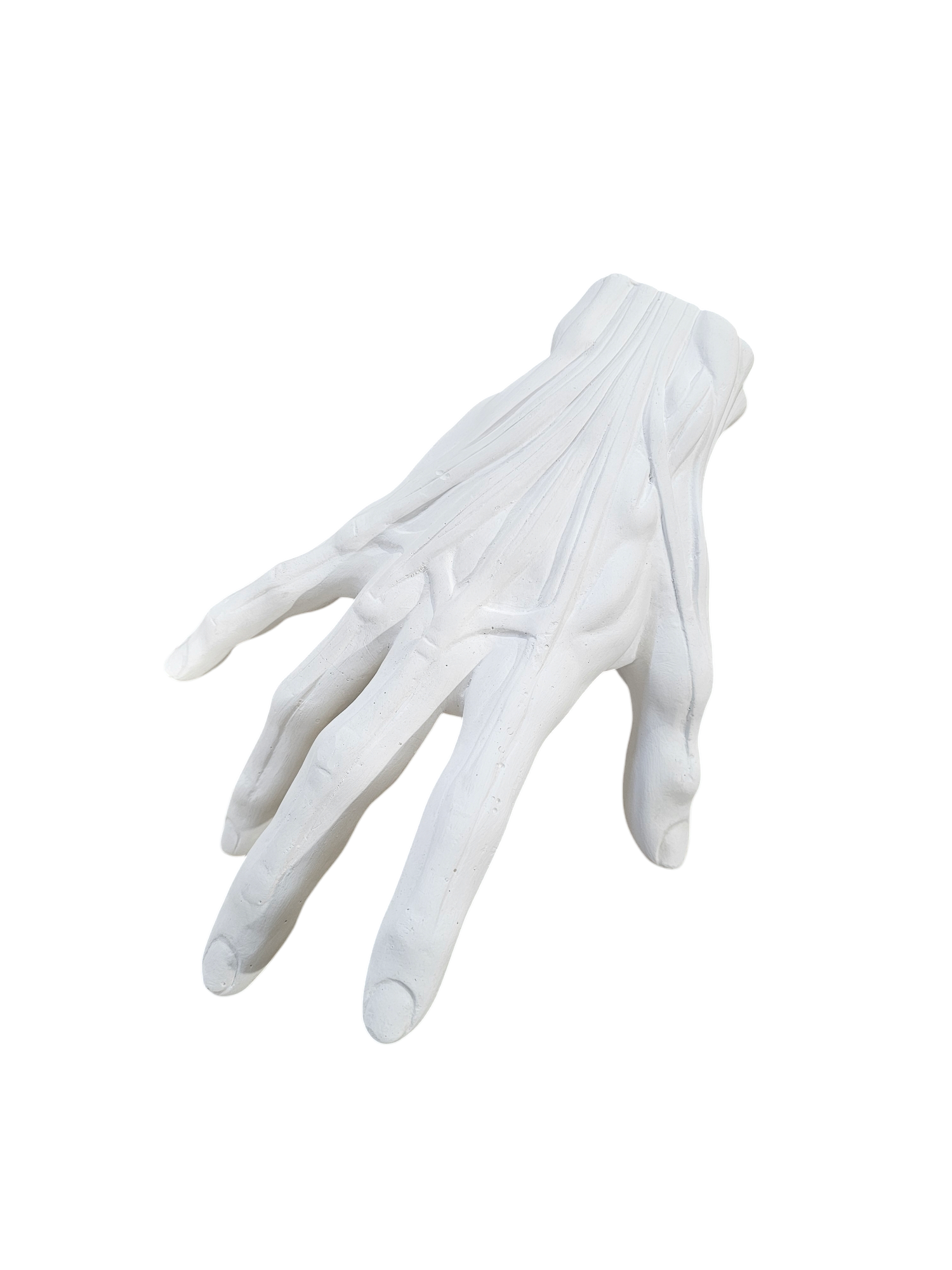 Pustractic Hand Plaster Anatomical Hand Large – The Compleat Sculptor, Inc