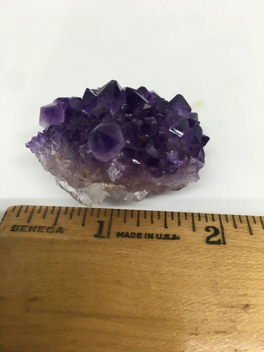 Small Amethyst Cluster 1-2 in