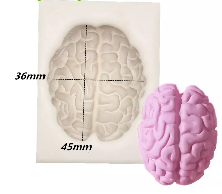 Brain Silicone Mold – The Compleat Sculptor, Inc