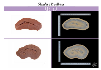Cuts - C13 + Z9 Silicone Prosthetic