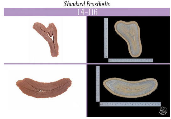 Cuts - C4/C16 Silicone Prosthetic