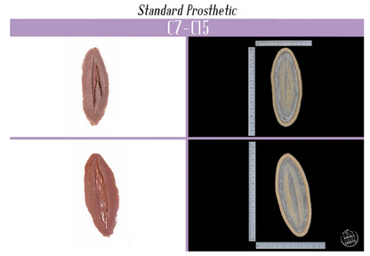 Cuts - C7/C15 Silicone Prosthetic