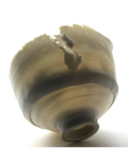 CELLULAIN porcelain paper clay 11lb (Cone 6-8)
