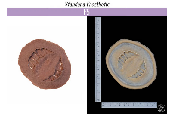 Gigitan - F5 Silikon Prostetik