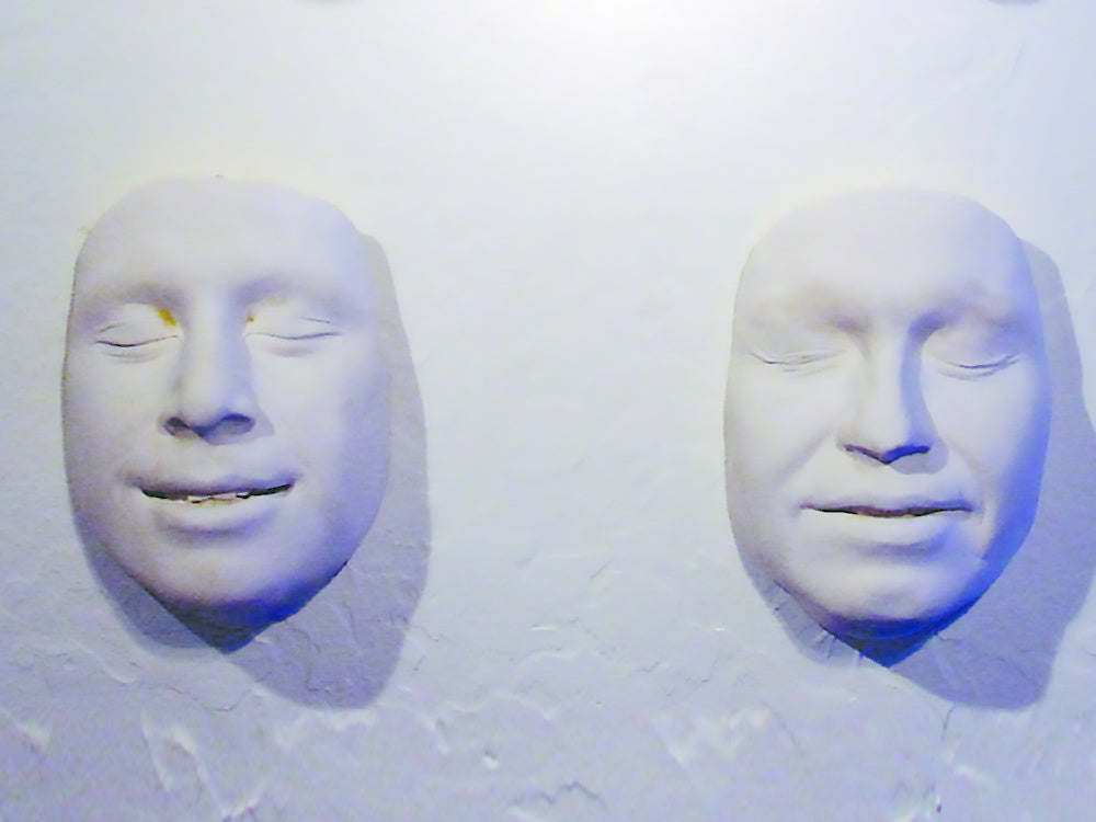 Face Casting Kit Alginate