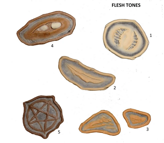 Cortes - Molde protésico de silicona C15