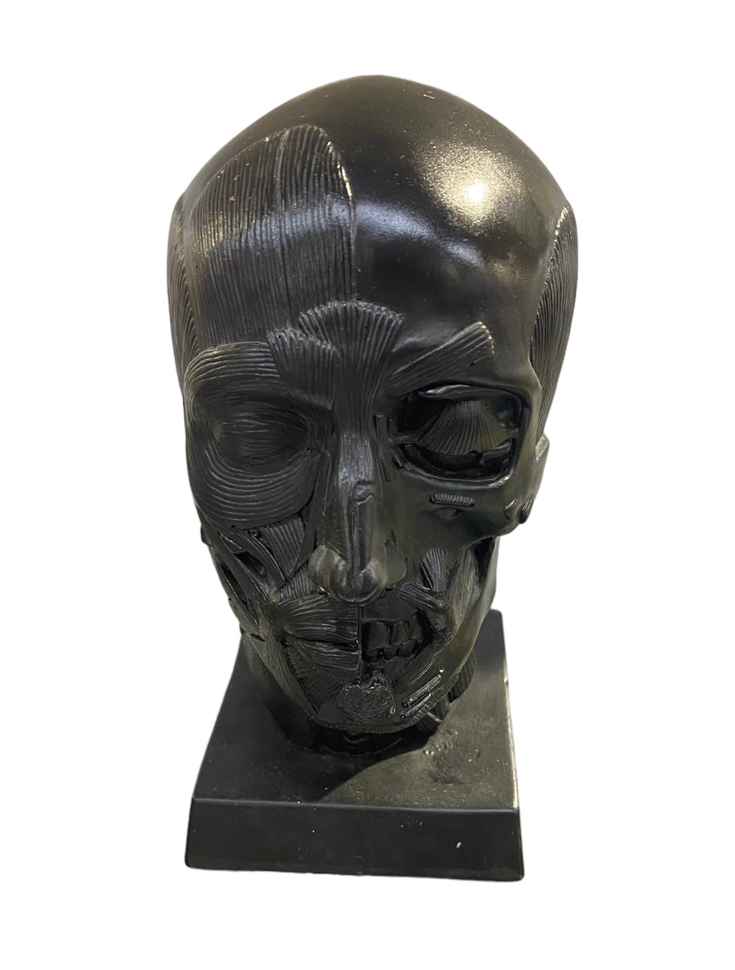 Goldfinger Anatomical Head Black