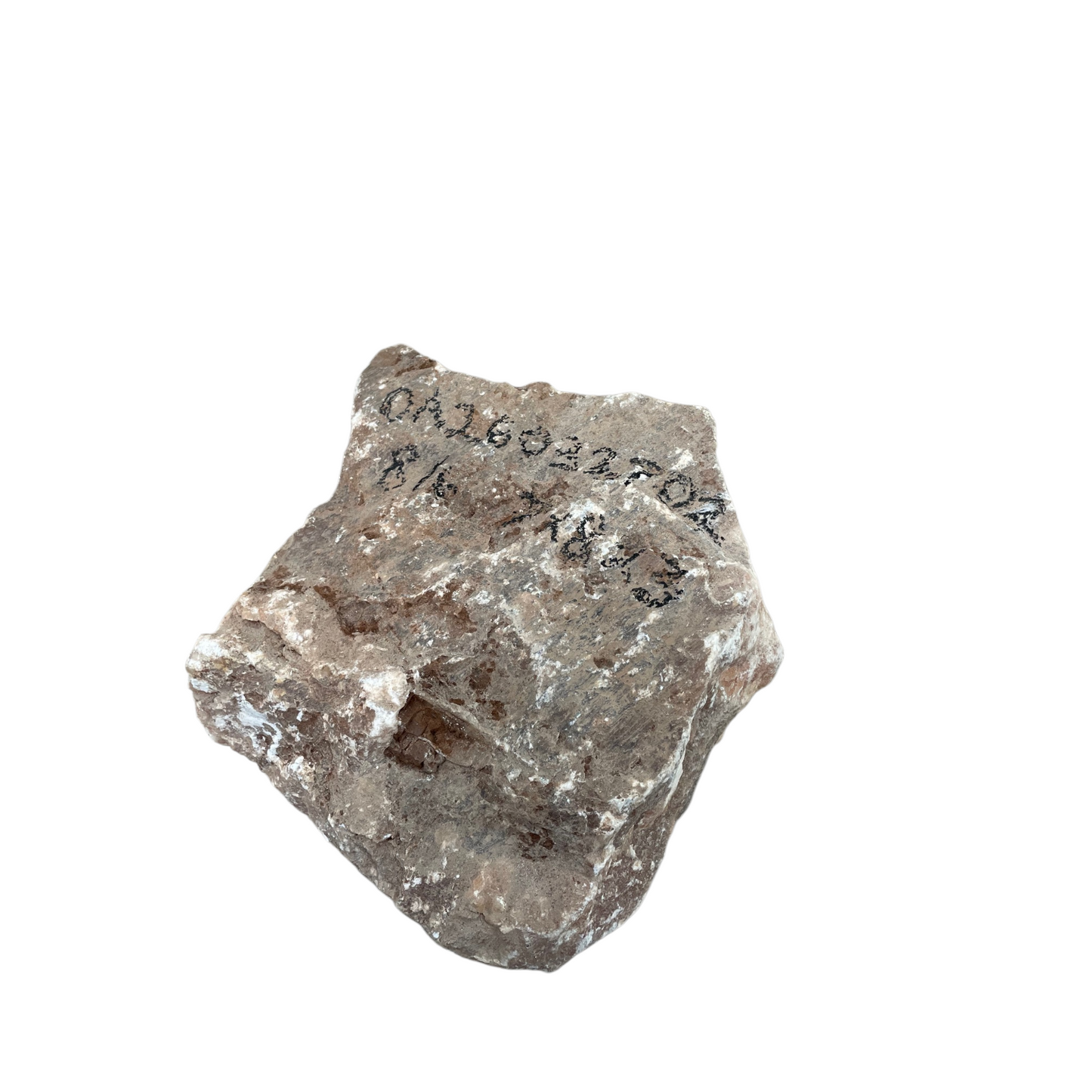 8lb Orange Translucent Alabaster 7x8x3 OA260327102