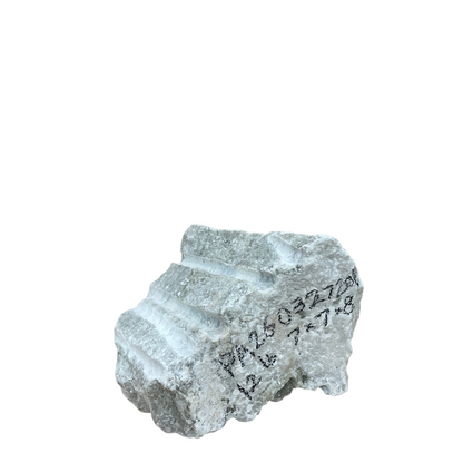 Princess Carlotta Green Alabaster 12lb 7x7x8 #PA260327201