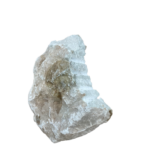 Princess Carlotta Green Alabaster 22lb 12x4x11 #PA260327202