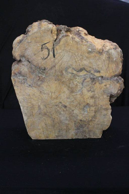 Spalted Maple Burl 18x20x7 #30016