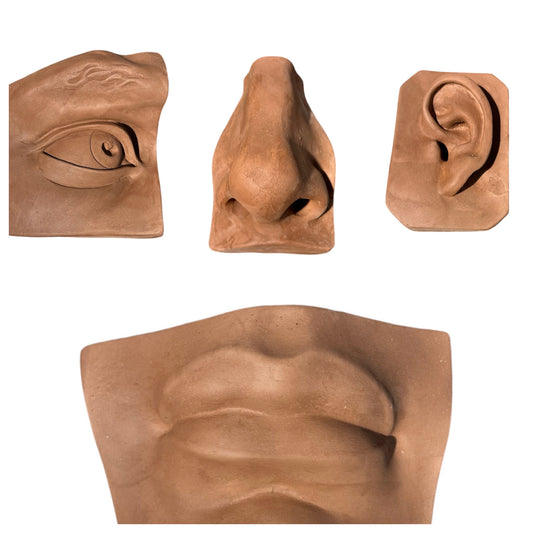 David Plaster Facial Features Set of Four Brown