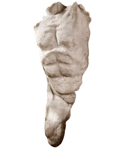 Nude Male torso Relief Sculpture