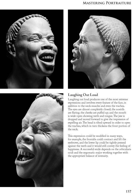 Mastering Portraiture: Advanced Analyses of the Face Sculpted in Clay Faraut Book #2