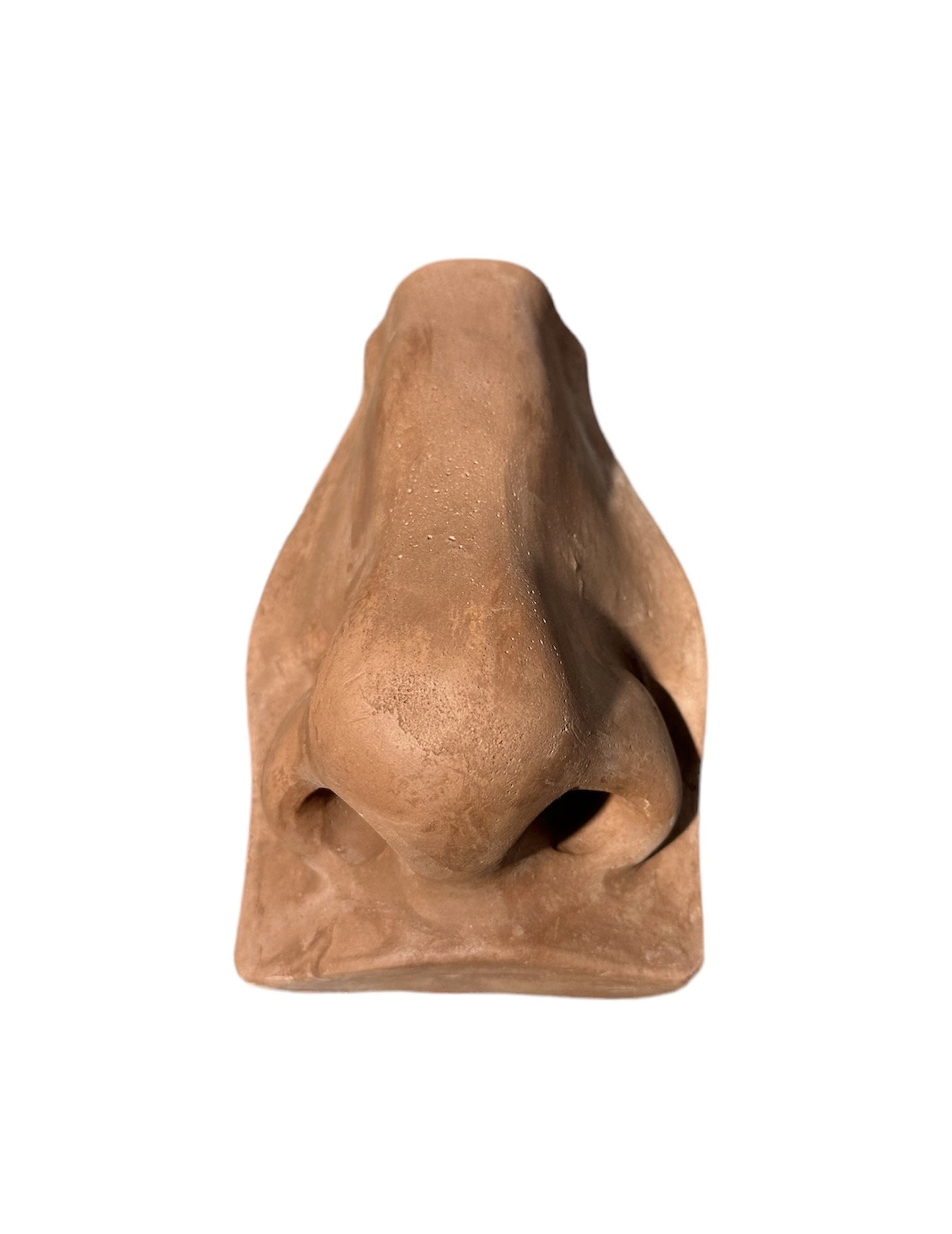 Plaster Nose Of David Brown – The Compleat Sculptor, Inc