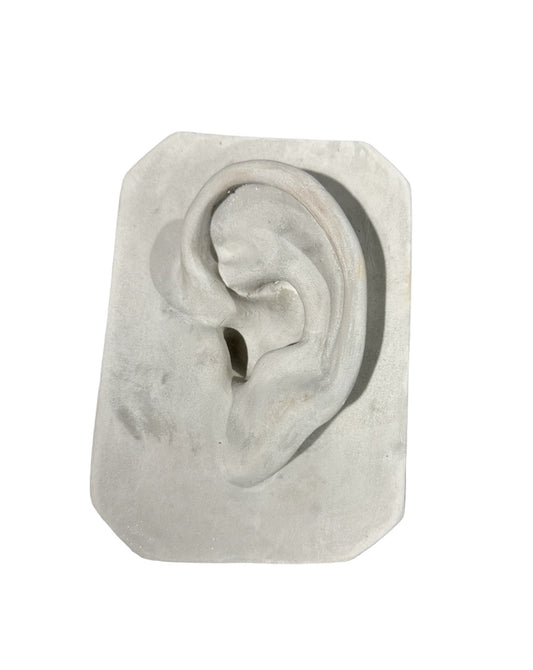 Plaster Ear Of David Gray