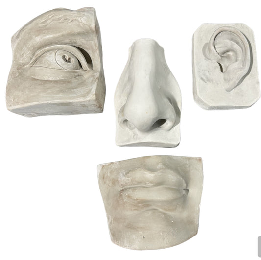 David Plaster Facial Features Set of Four Gray
